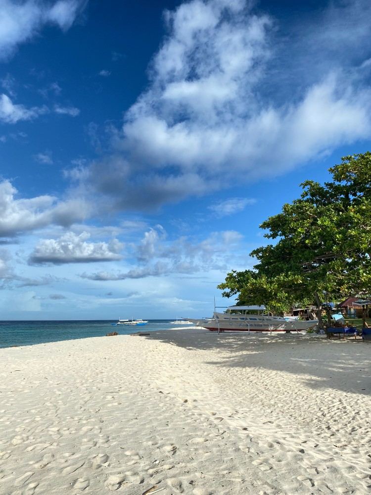 Pamilacan Island beach