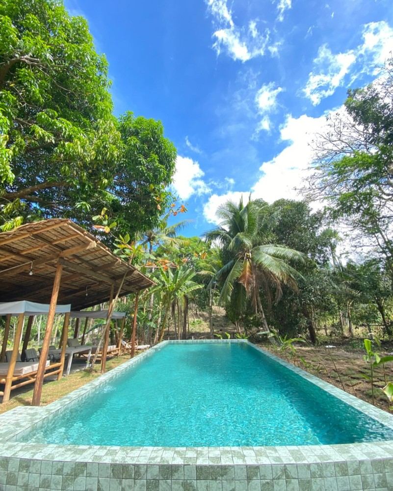 Garden pool